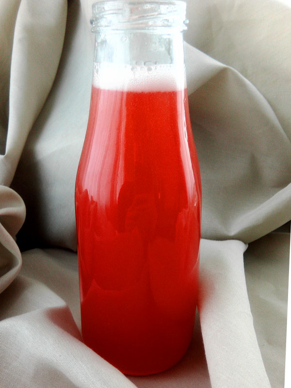Rhabarber-Sirup in der Flasche - Flockelicious